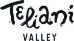 Teliani Valley JSC logo