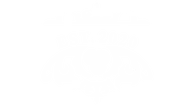 TeutoSpirits GmbH logo