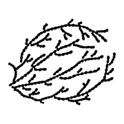 Tularosa Distillery, LLC logo