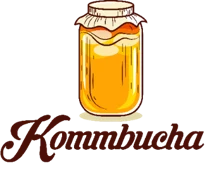 Verve Kombucha logo