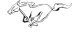 Wildbrumby Schnapps Distillery logo